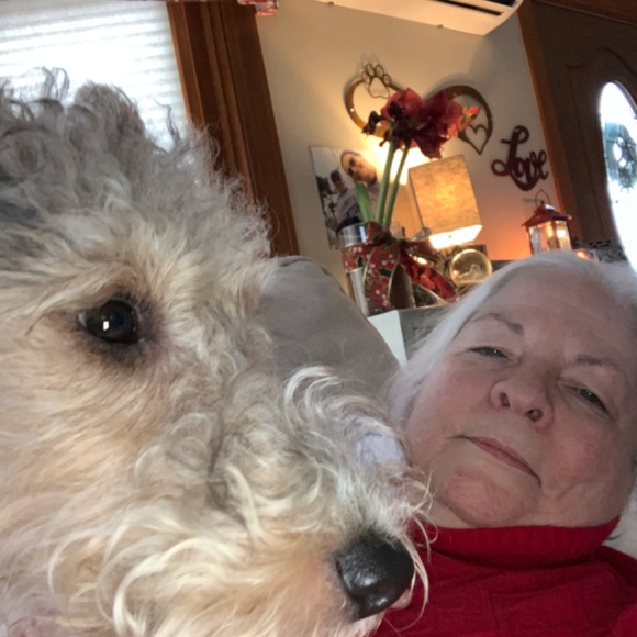 Meet your Posher, Lyn Richards Pawlowski - Picture 12 of 15